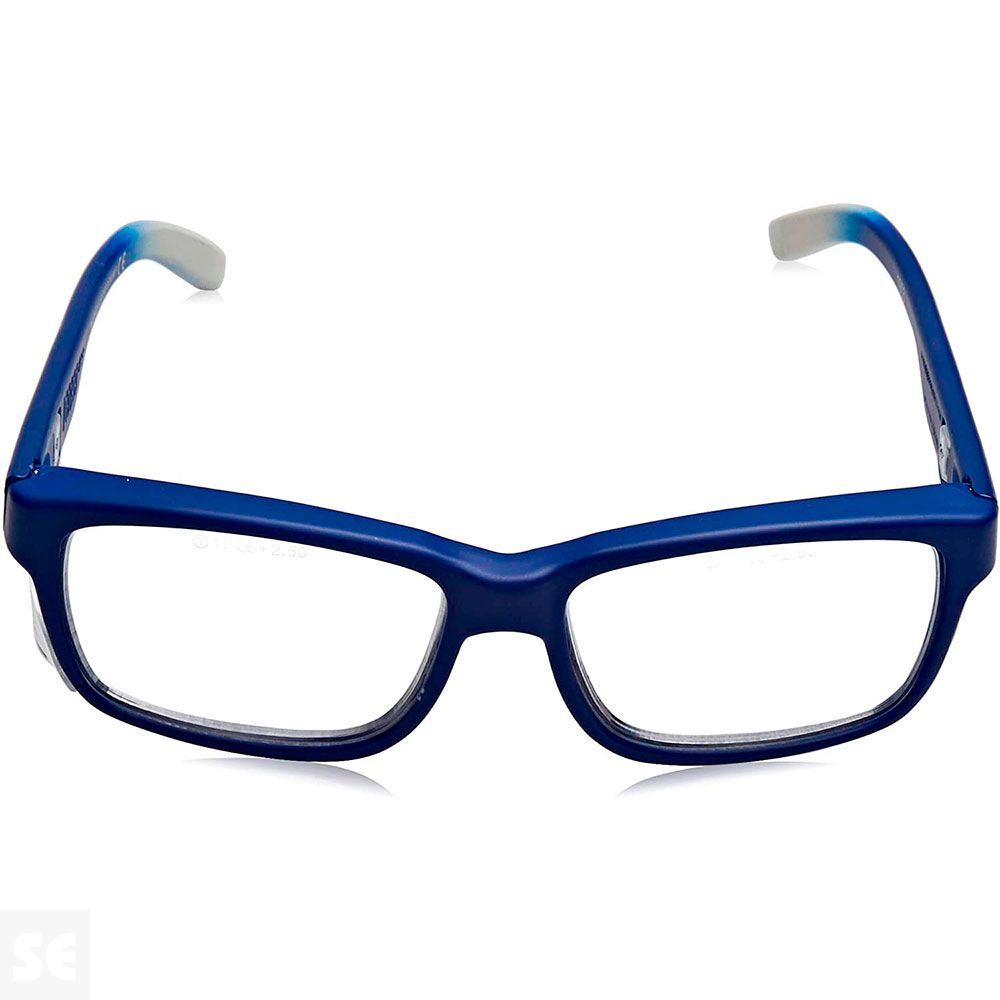 Gafas Protección Vita Cansada 2,5 Diop. Blister