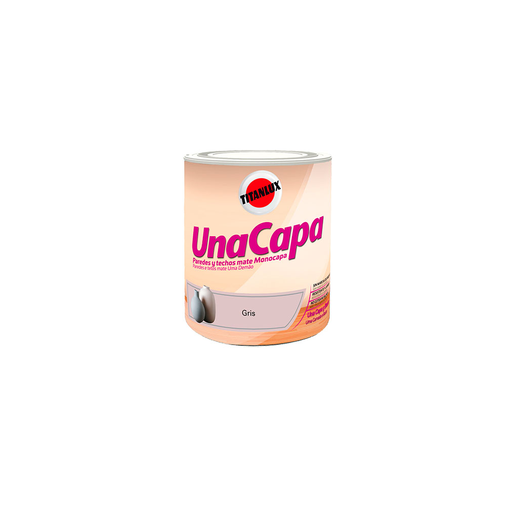 Pintura Una Capa Gris 750Ml