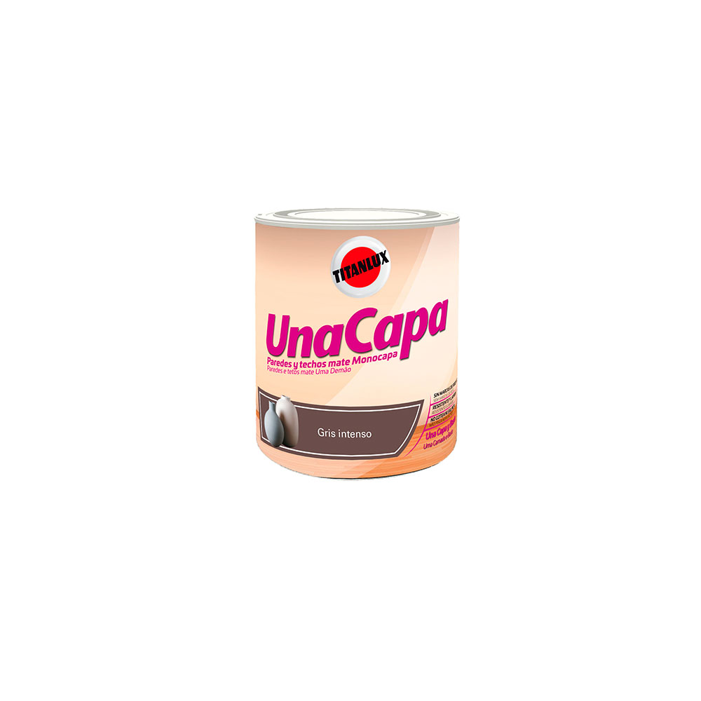 Pintura Una Capa Gris Intenso 750Ml
