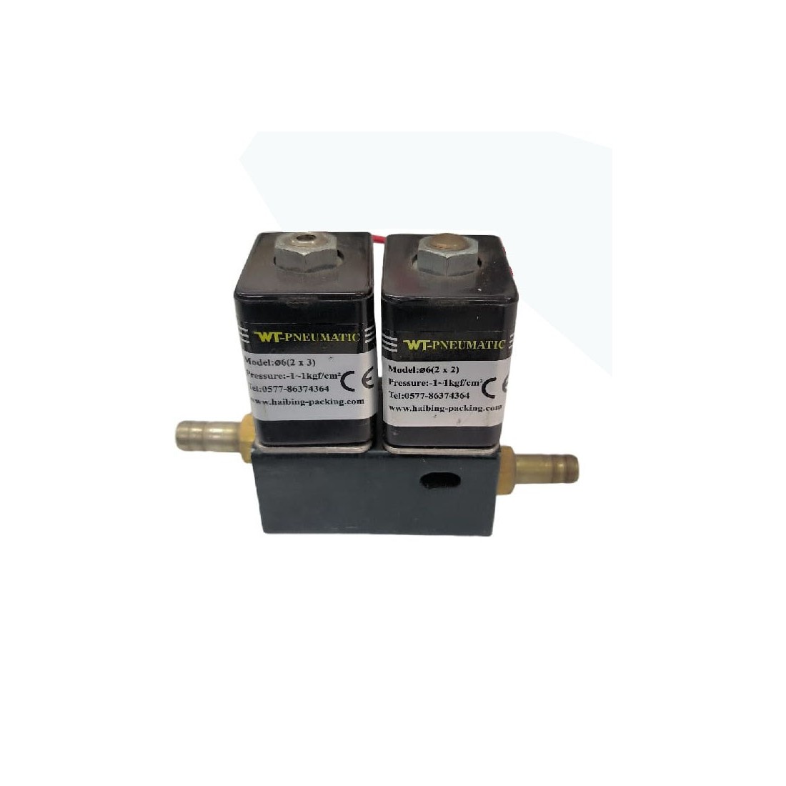 Electroválvula Doble WT-Pneumatic Envasadora Vacío DZ-280 220V 50Hz Presión 1-1kgf.-cm