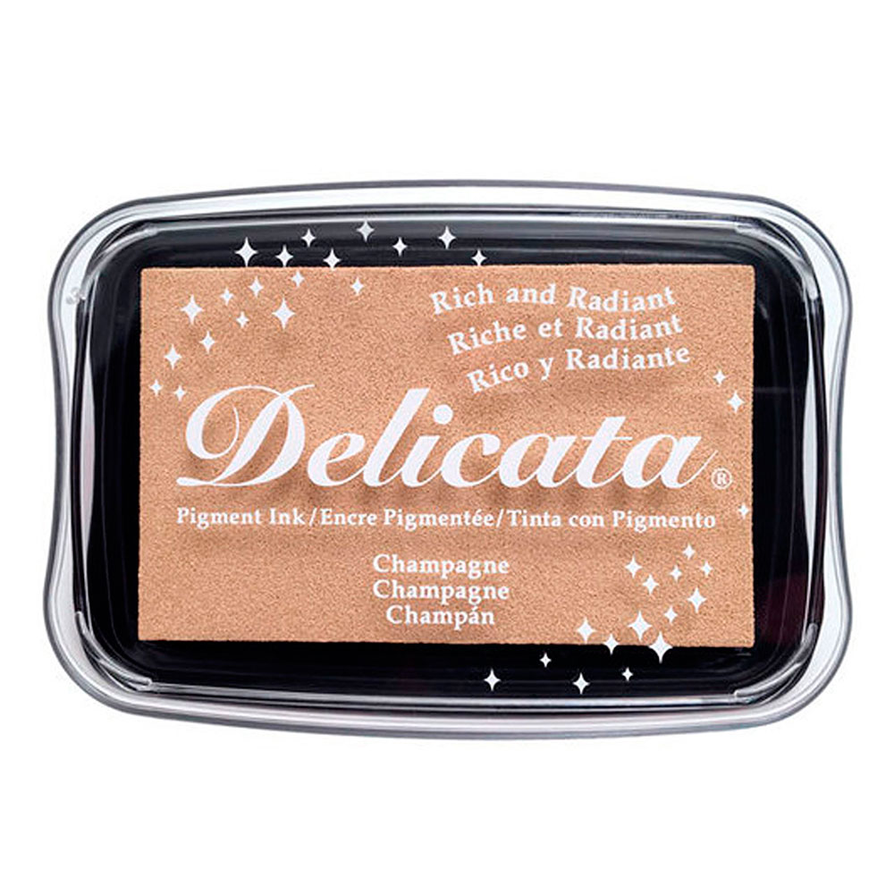 Tinta Delicata Metalica Brillante Champán 95x65mm TDE-196